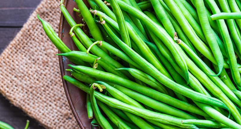 Are Beans Protein Frequently Answered