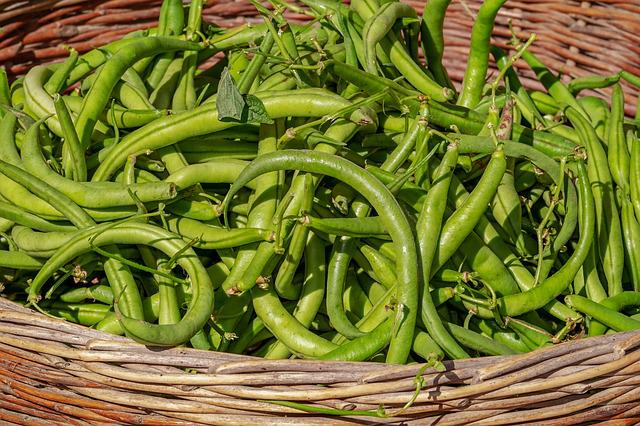 Are Beans Protein Frequently Answered