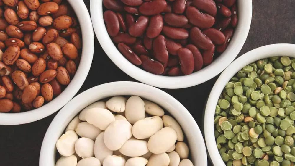 What Food Group Are Beans In? All You Want To Know