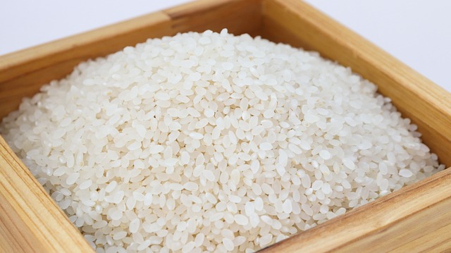 Is Rice a Vegetable All You Want to Know
